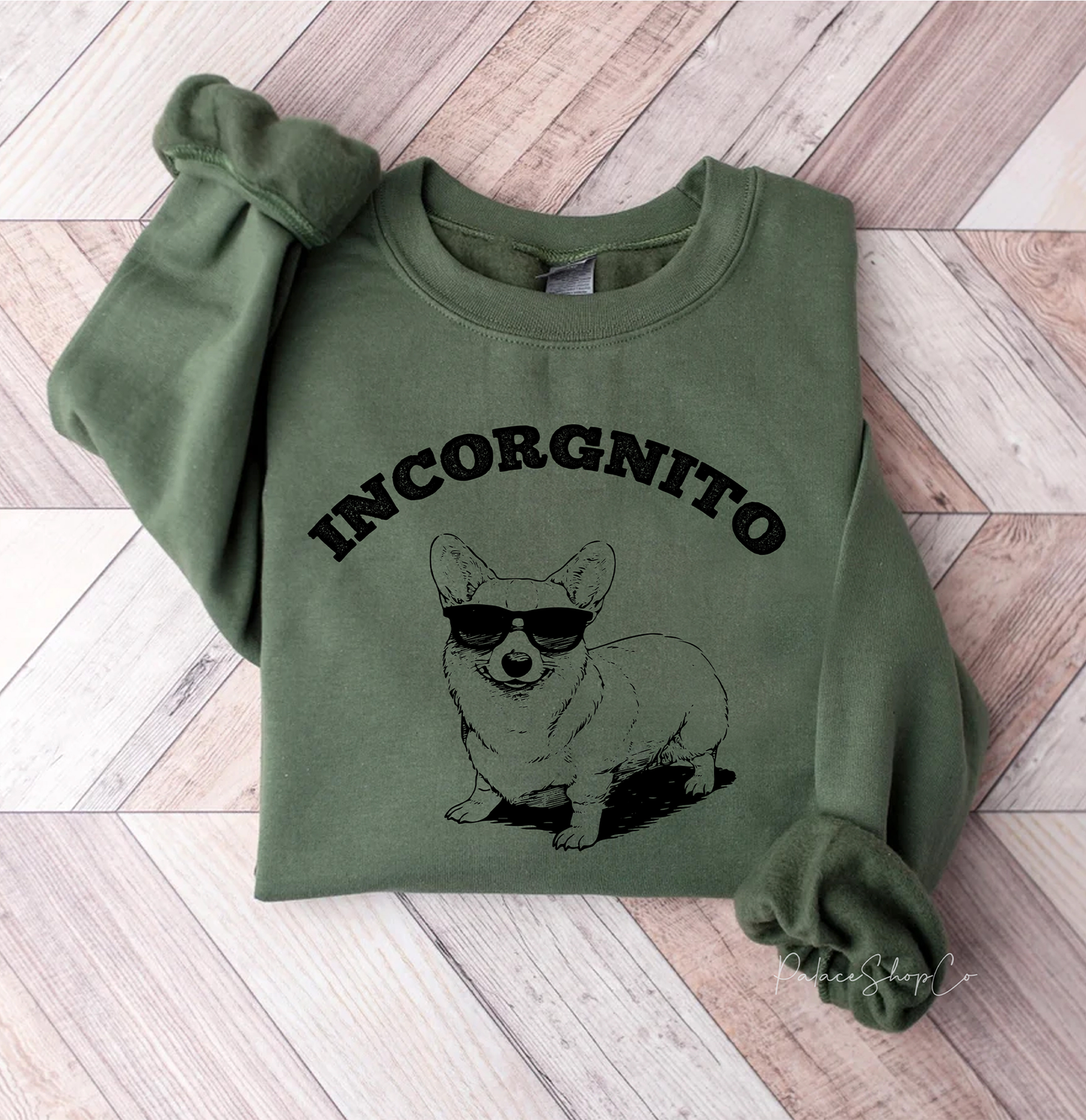 Incorgnito Sweatshirt